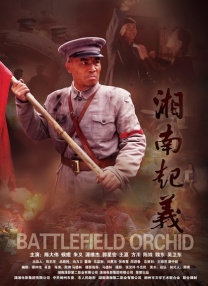 国产一区二区视频在线观看